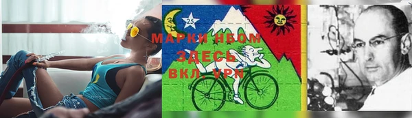 таблы Бородино