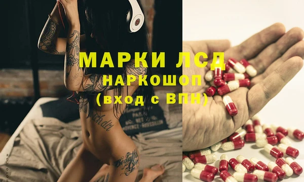 таблы Бородино