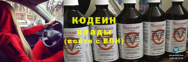 таблы Бородино